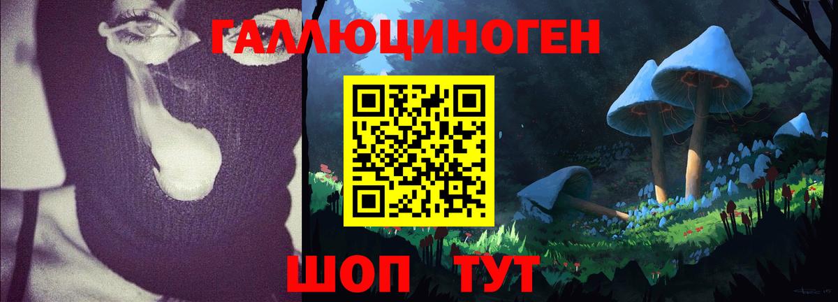 Калач-на-Дону  Псилоцибиновые грибы Psilocybine cubensis  Вход с VPN 
